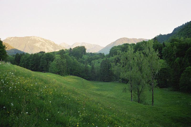 008_4A.JPG