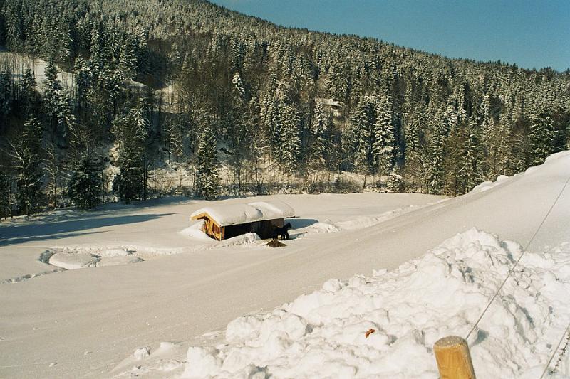 036_33.JPG